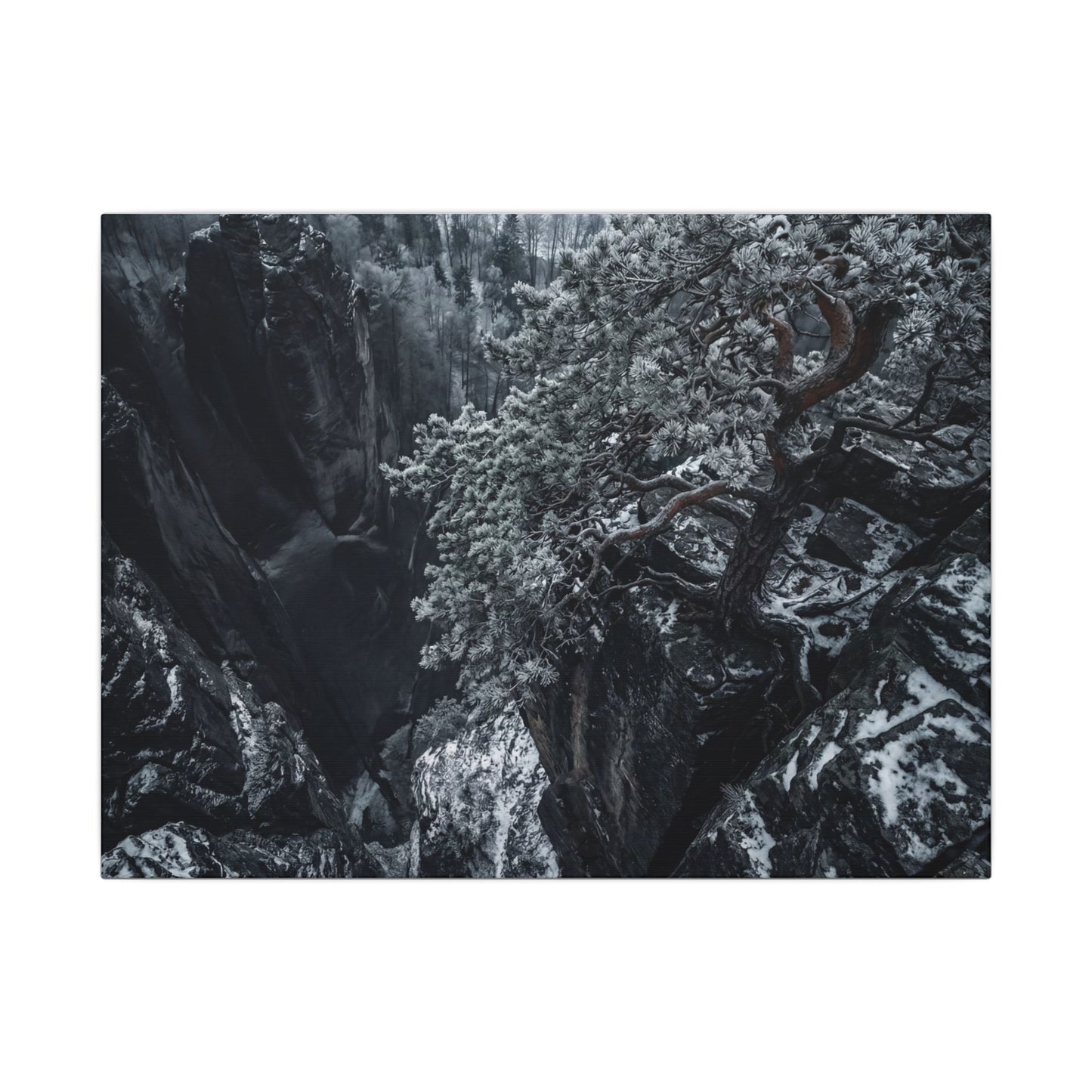 Dark Japandi Pine Tree in Dappled | Dark Texture Canvas Art