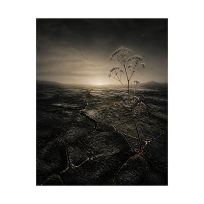Dawn Cracked Earth Wall Art Print - Dark Japandi Mono No Aware