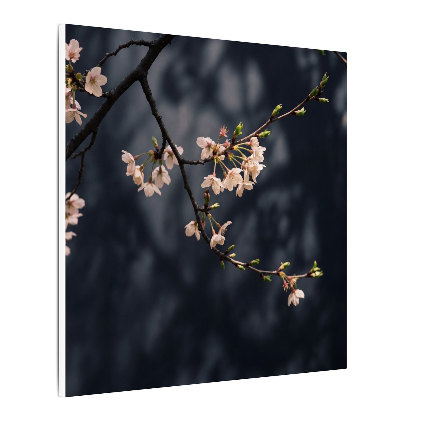 Cherry Blossom Moody Minimal Canvas Art | Bold Dark Japandi Art