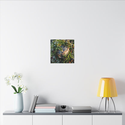 Artful Moss Close Up Canvas Art - Gold Repair Kintsugi