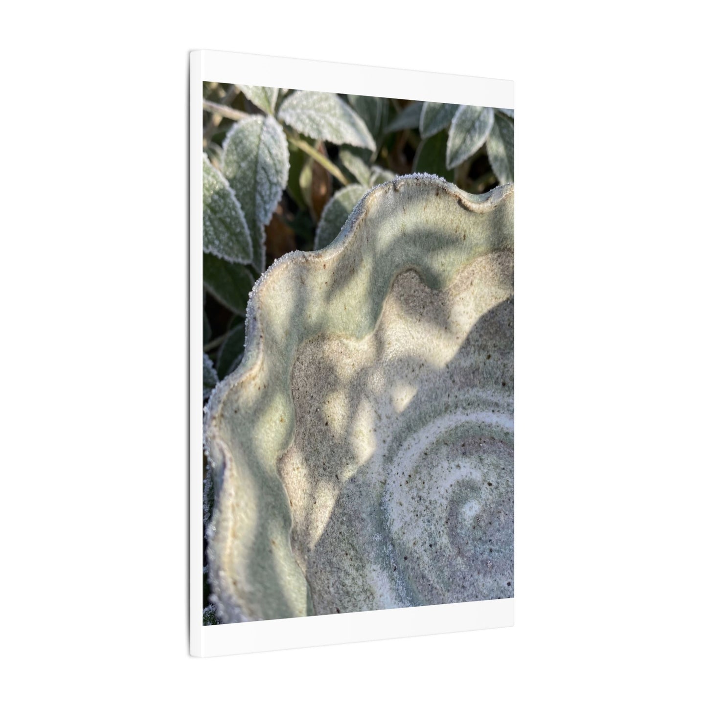 Dappled Ceramic Bowl Canvas Art - Japandi Seijaku
