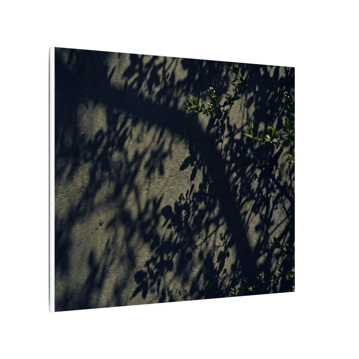 Atmospheric Shadow Play Canvas Art - Moody Minimal Dark Japandi