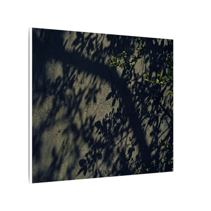 Atmospheric Shadow Play Canvas Art - Moody Minimal Dark Japandi