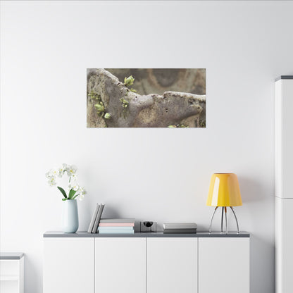 Overcast Ceramic Bowl Canvas Art - Japandi Fukinsei