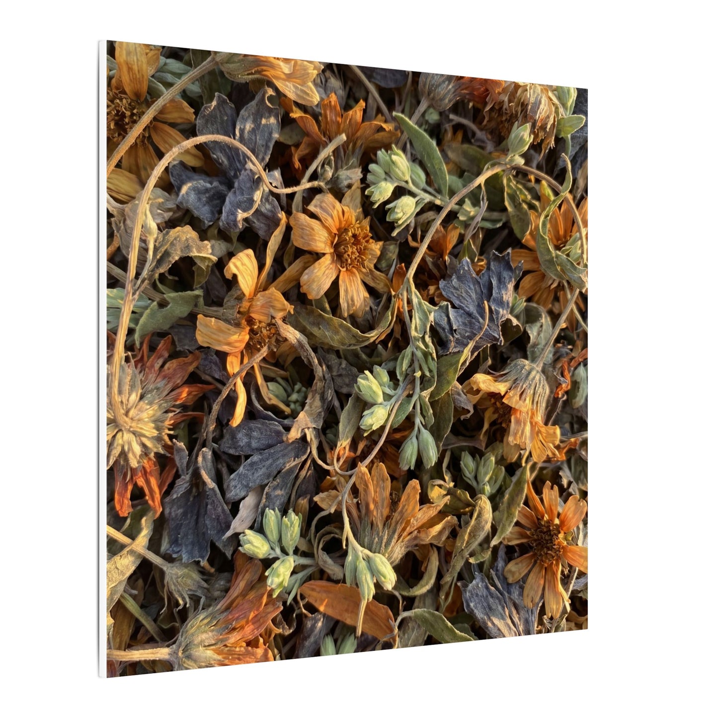 Spring Dried Flowers Japanese Pattern Canvas Art | Warm Decor