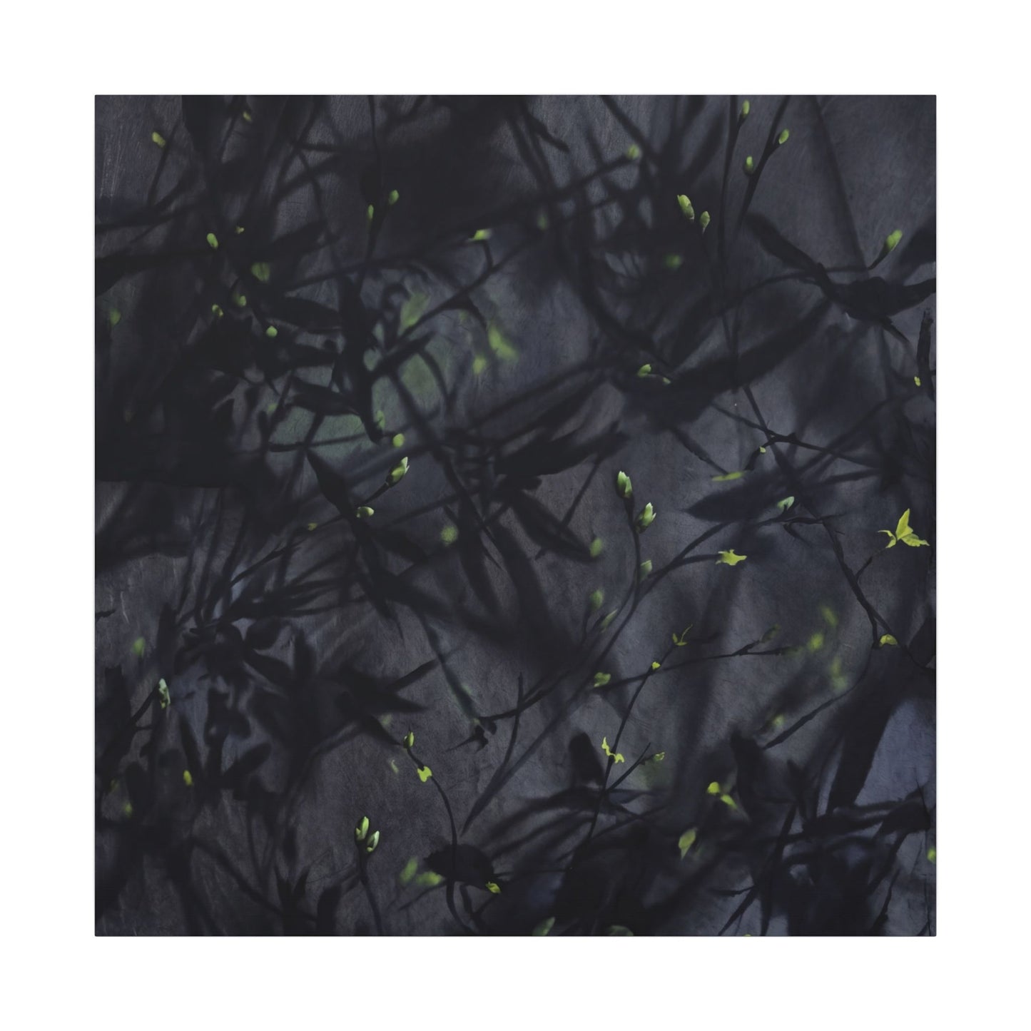 Shadow Play Spring Canvas Art | Dark Japandi Atmospheric Design
