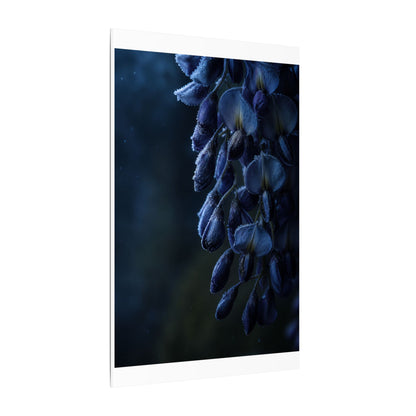Winter Wisteria Shadow Zen Canvas Art | Atmospheric Decor