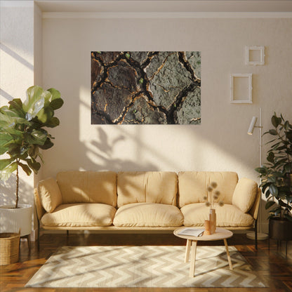Earthy Cracked Earth Canvas Art - Japanese Pattern Japandi