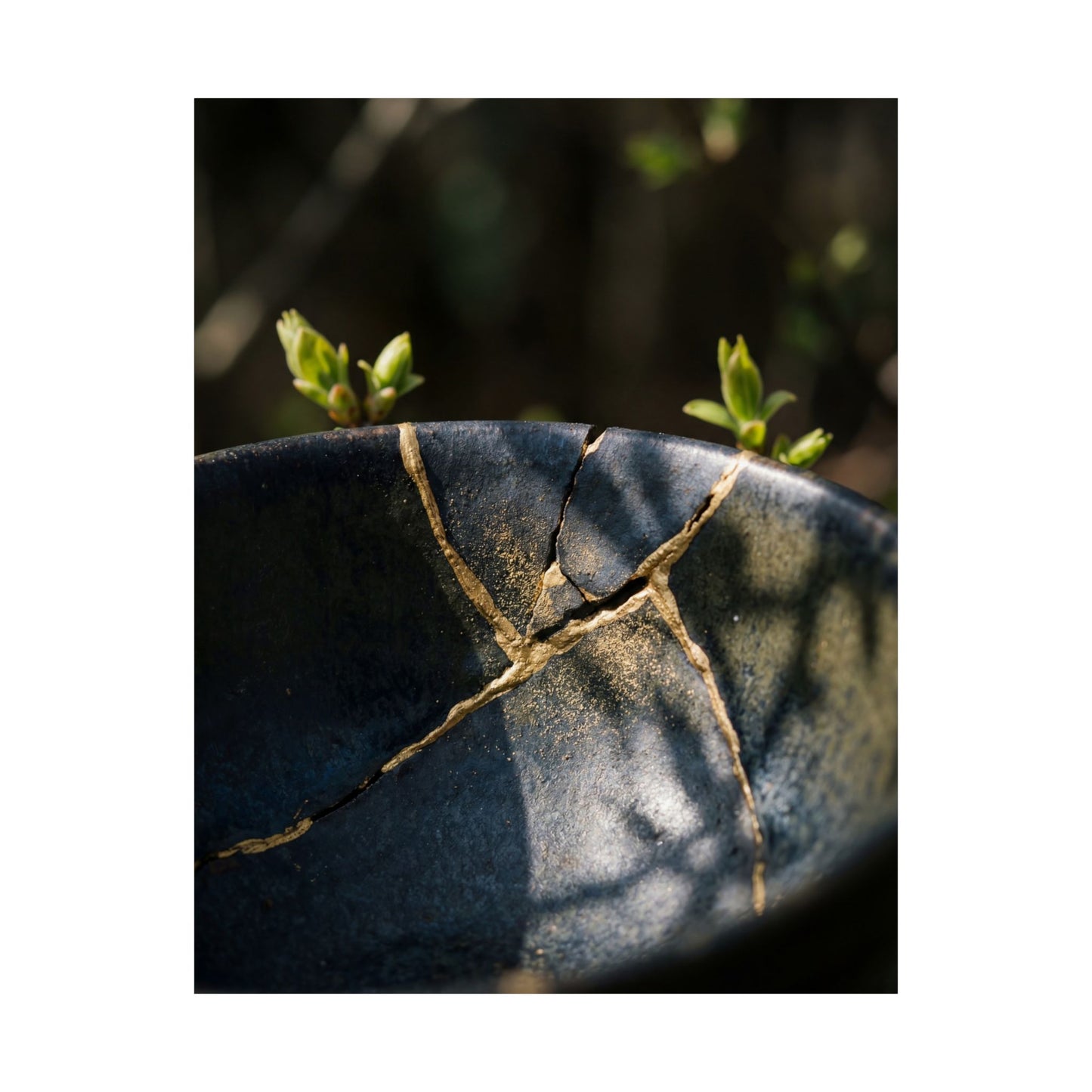 Spring Broken Pottery Shadow Zen Wall Art Print | Moody Decor