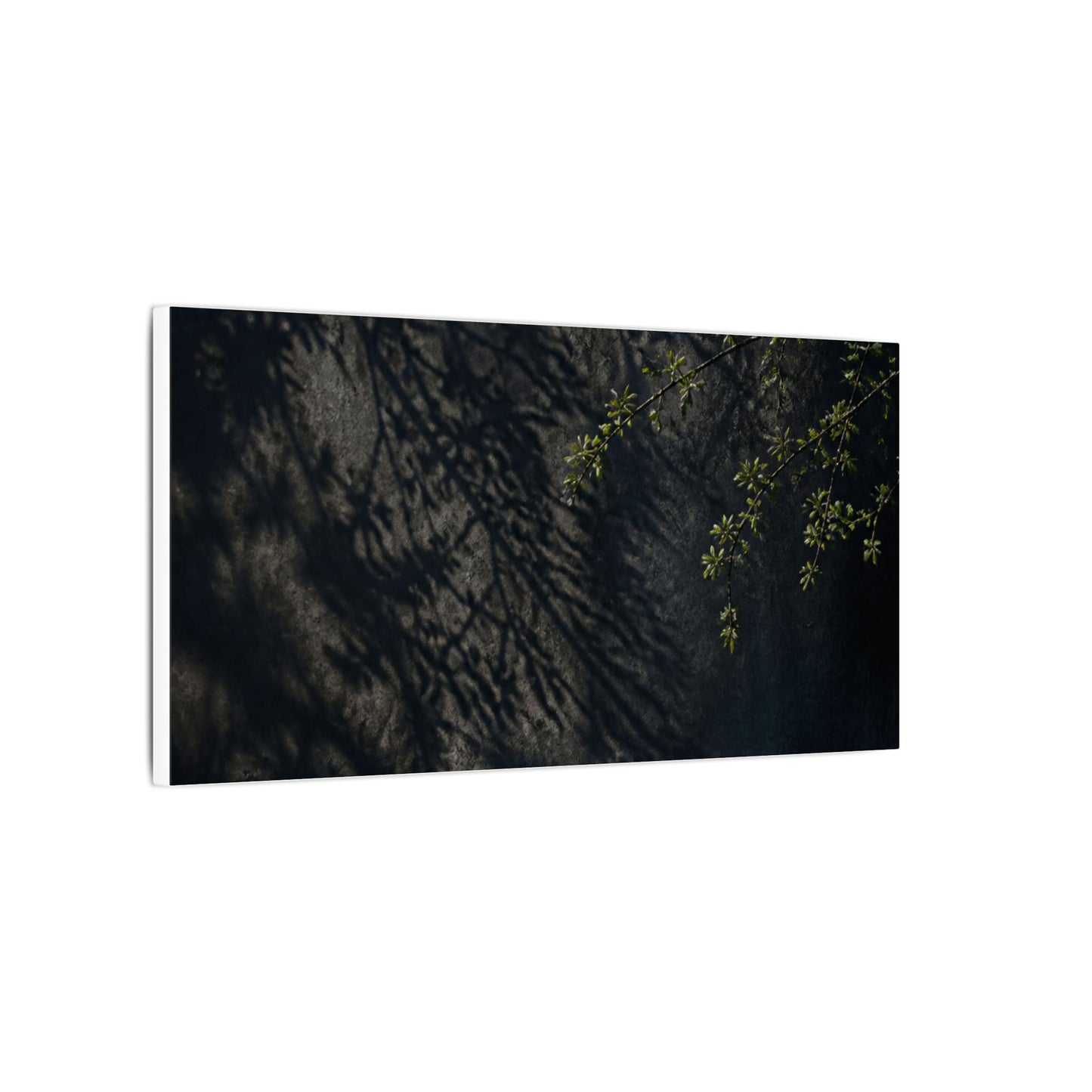 Overcast Shadow Play Canvas Art - Dark Japandi Seijaku