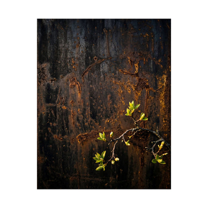 Rust Patina Wall Art Print | Spring Dark Japandi Moody Minimal Art