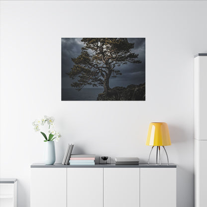Dappled Pine Tree Canvas Art - Dark Japandi Fukinsei