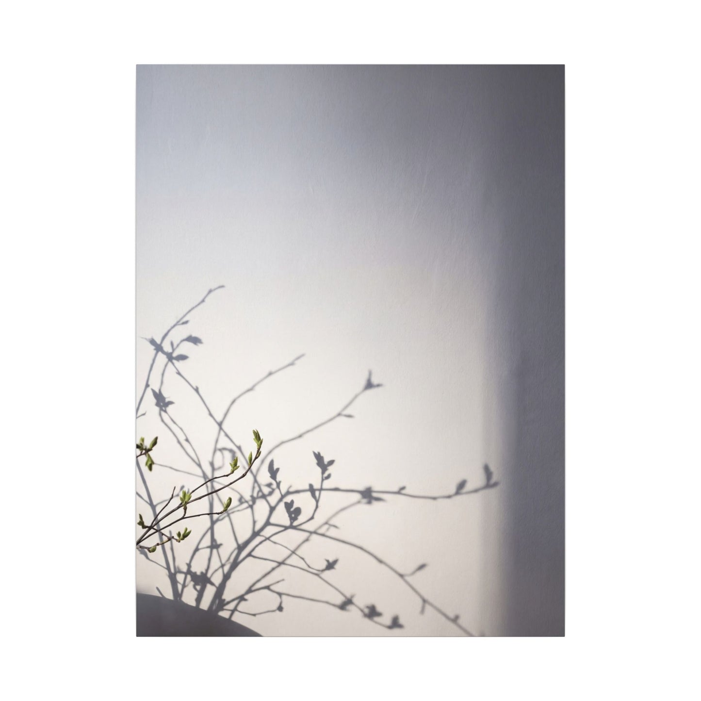 Japandi Shadow Play in Dawn | Japanese Pattern Canvas Art