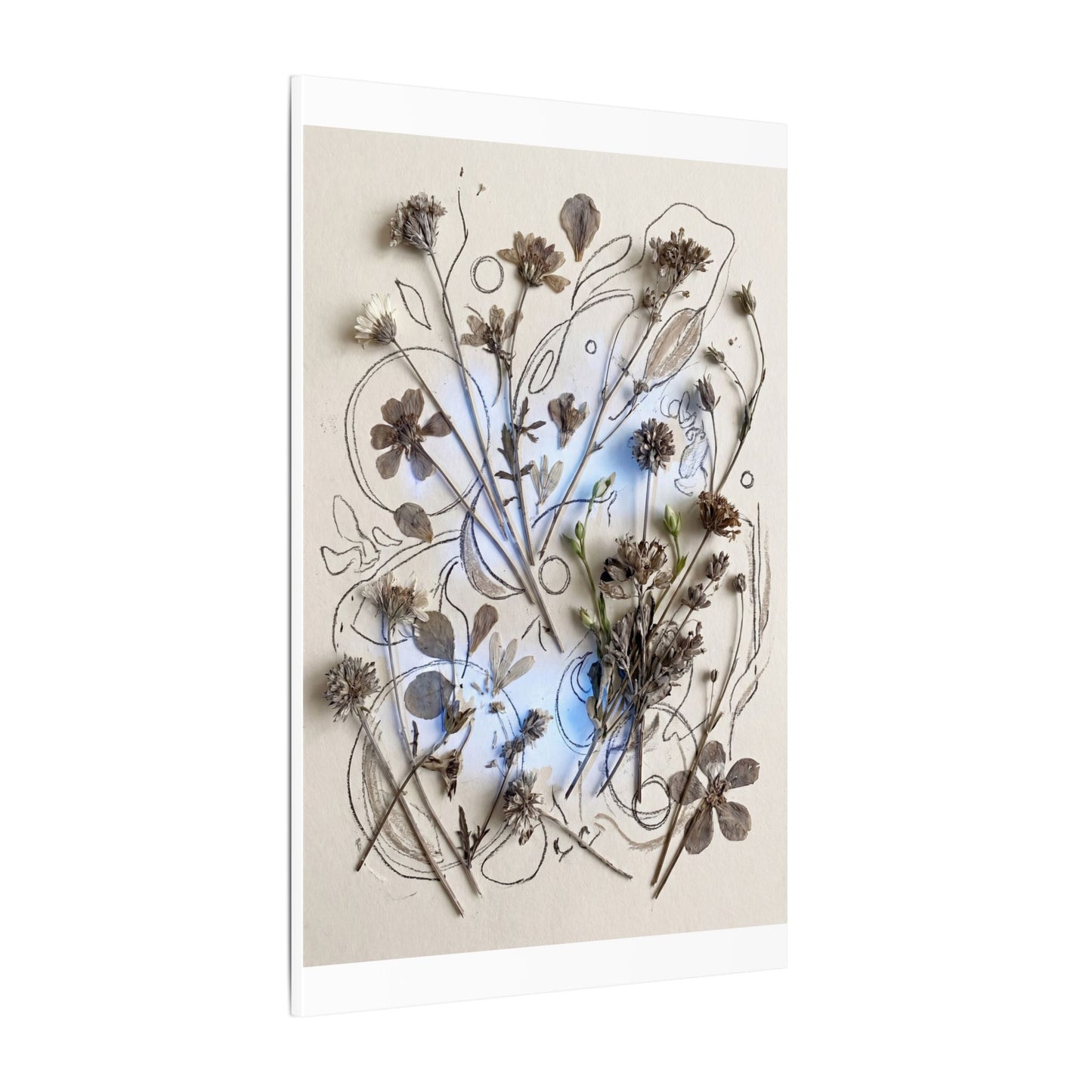 Dried Flowers Minimal Line Canvas Art | Elegant Japandi Art