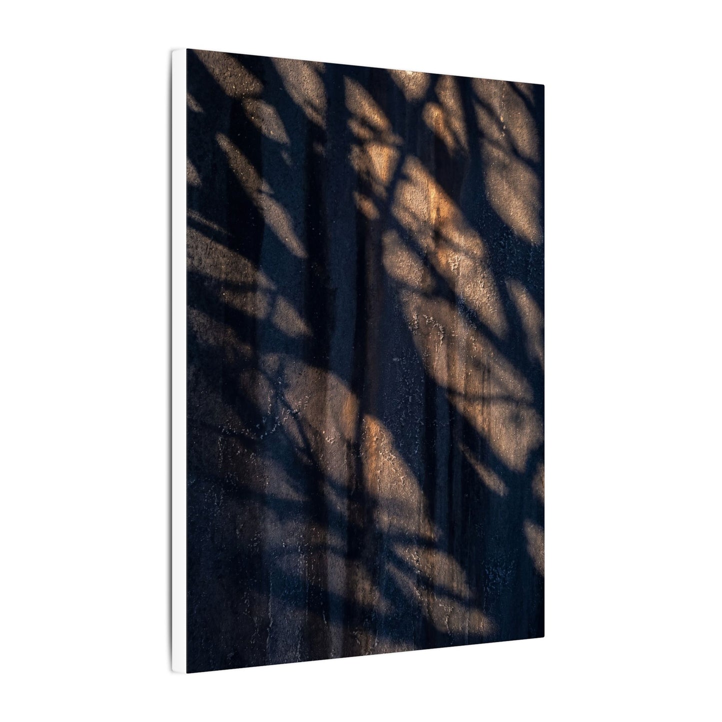 Dark Japandi Shadow Play in Golden Hour | Shadow Zen Canvas Art