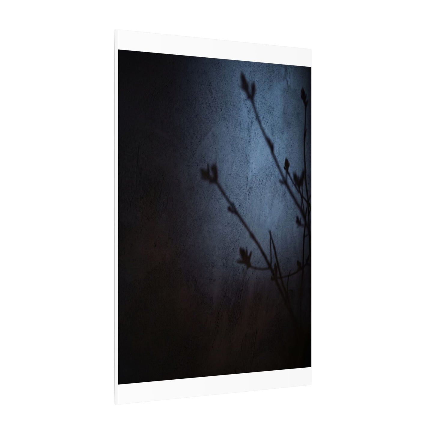 Shadow Play Canvas Art | Spring Dark Japandi Moody Minimal Art