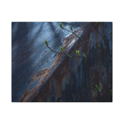 Rust Patina Canvas Art | Spring Dark Japandi Shadow Zen Art