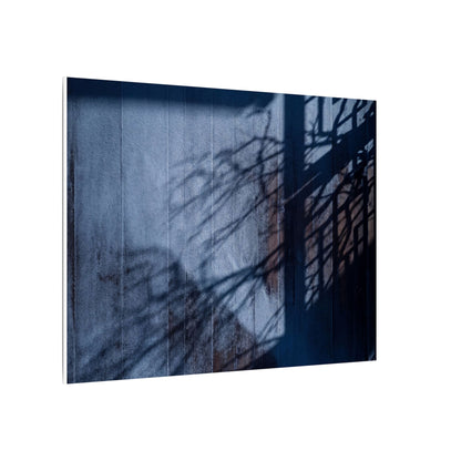 Shadow Play Moody Minimal Canvas Art | Moody Dark Japandi Art