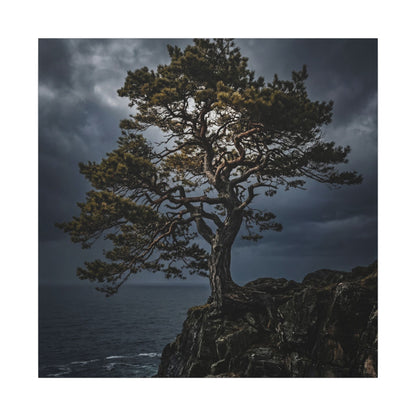 Dappled Pine Tree Canvas Art - Dark Japandi Fukinsei