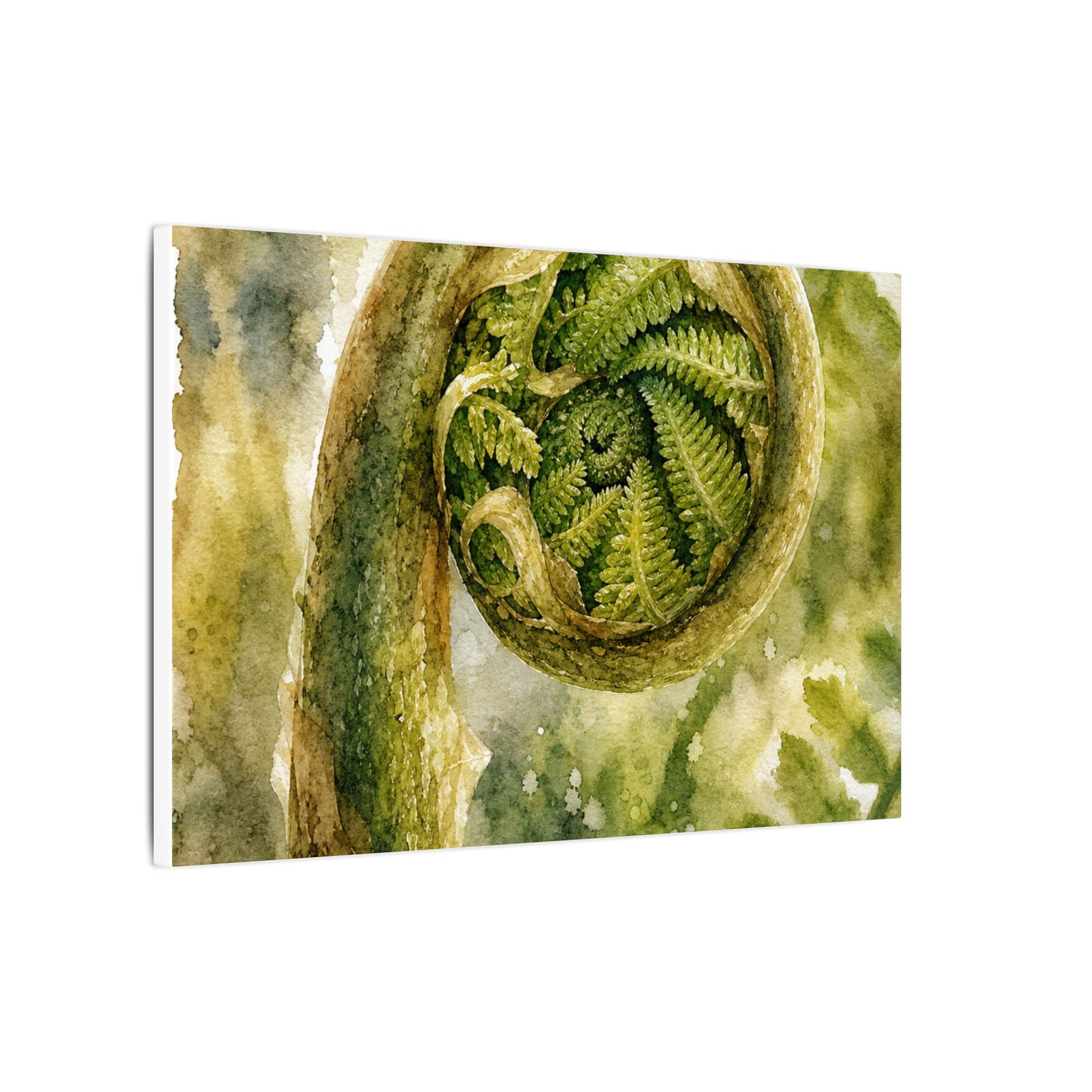 Japandi Fern Unfurling in Dappled | Watercolor Canvas Art