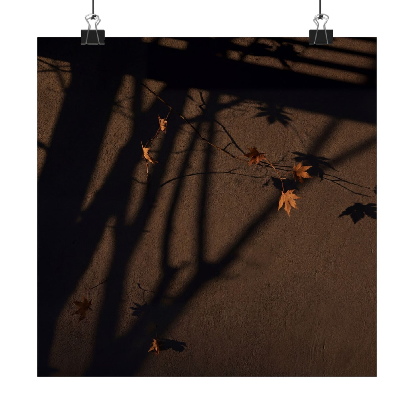 Autumn Shadow Play Shadow Zen Wall Art Print | Sophisticated Decor Art Print