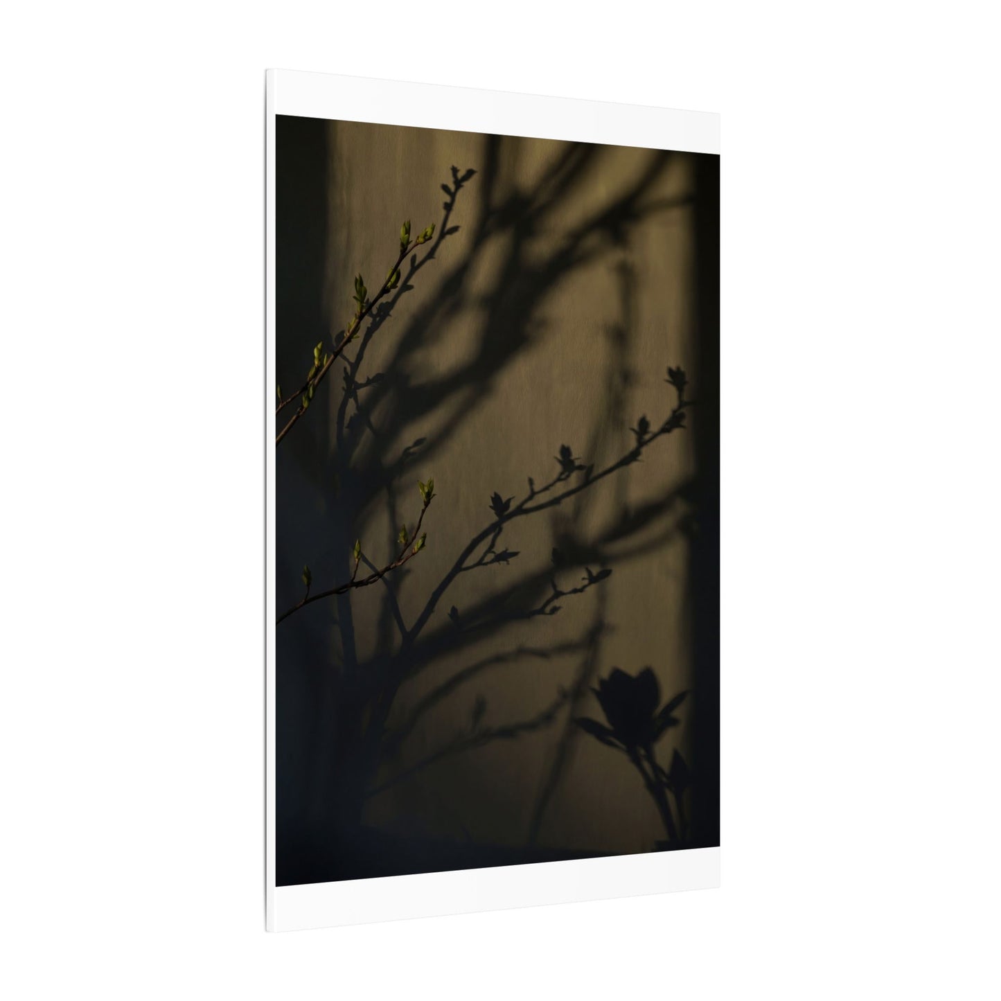 Seijaku Shadow Play Canvas Art - Dark Japandi Charcoal Ink