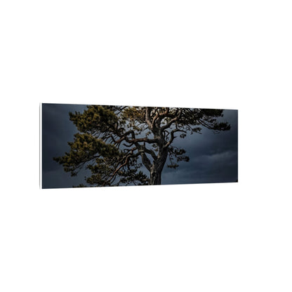 Dappled Pine Tree Canvas Art - Dark Japandi Fukinsei