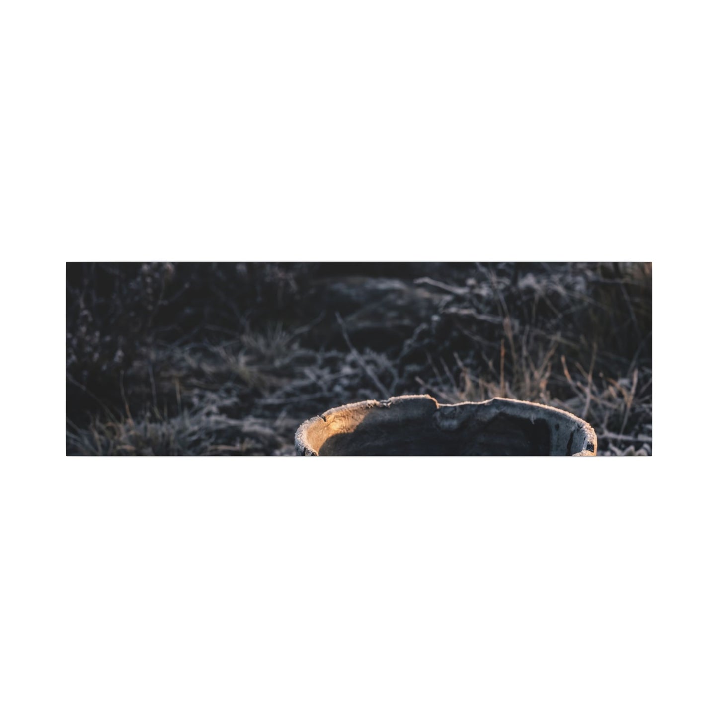 Kanso Ceramic Bowl Canvas Art - Dark Japandi Dark Texture