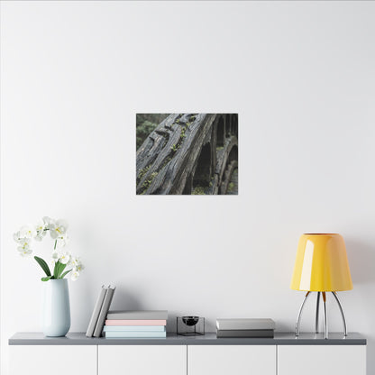 Overcast Wooden Bridge Canvas Art - Japandi Kanso