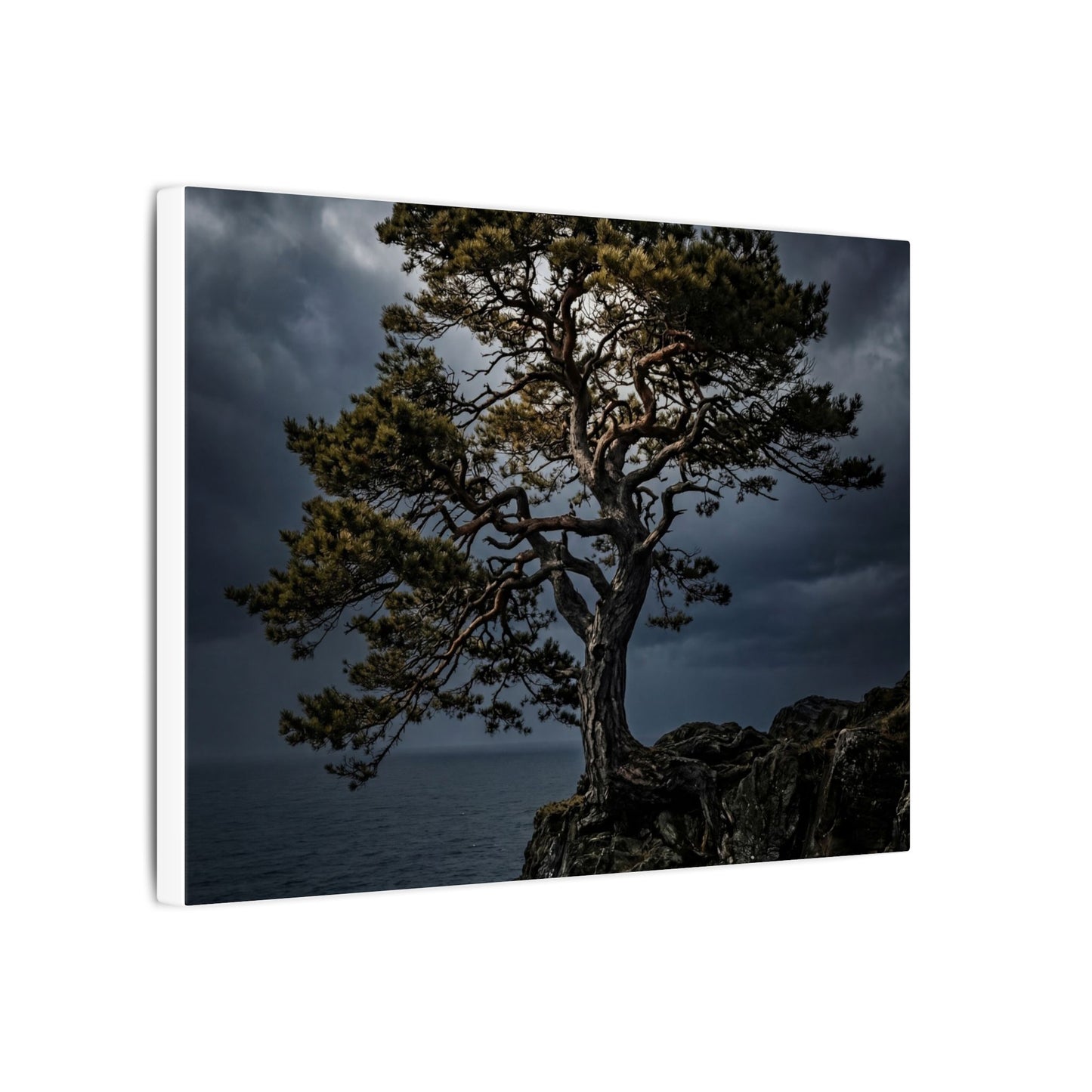 Dappled Pine Tree Canvas Art - Dark Japandi Fukinsei