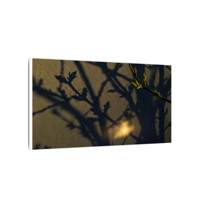 Bold Shadow Play Canvas Art - Moody Minimal Dark Japandi