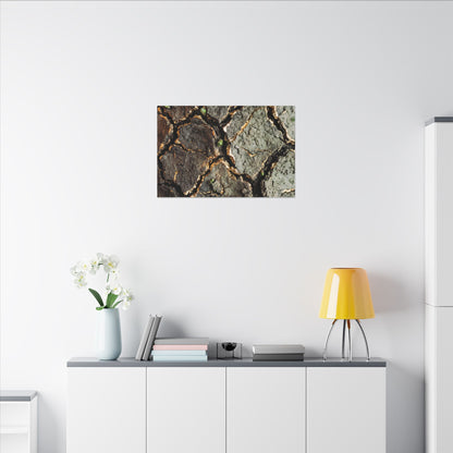 Earthy Cracked Earth Canvas Art - Japanese Pattern Japandi