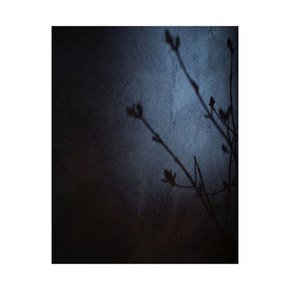 Shadow Play Wall Art Print | Spring Dark Japandi Moody Minimal Art