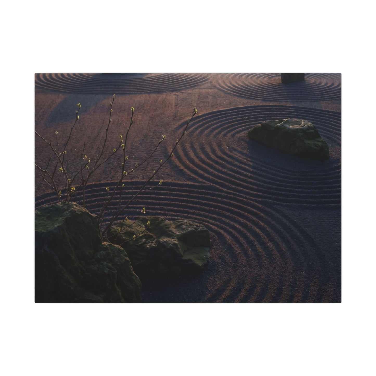 Spring Rock Garden Shadow Zen Canvas Art | Luxurious Decor Art Print