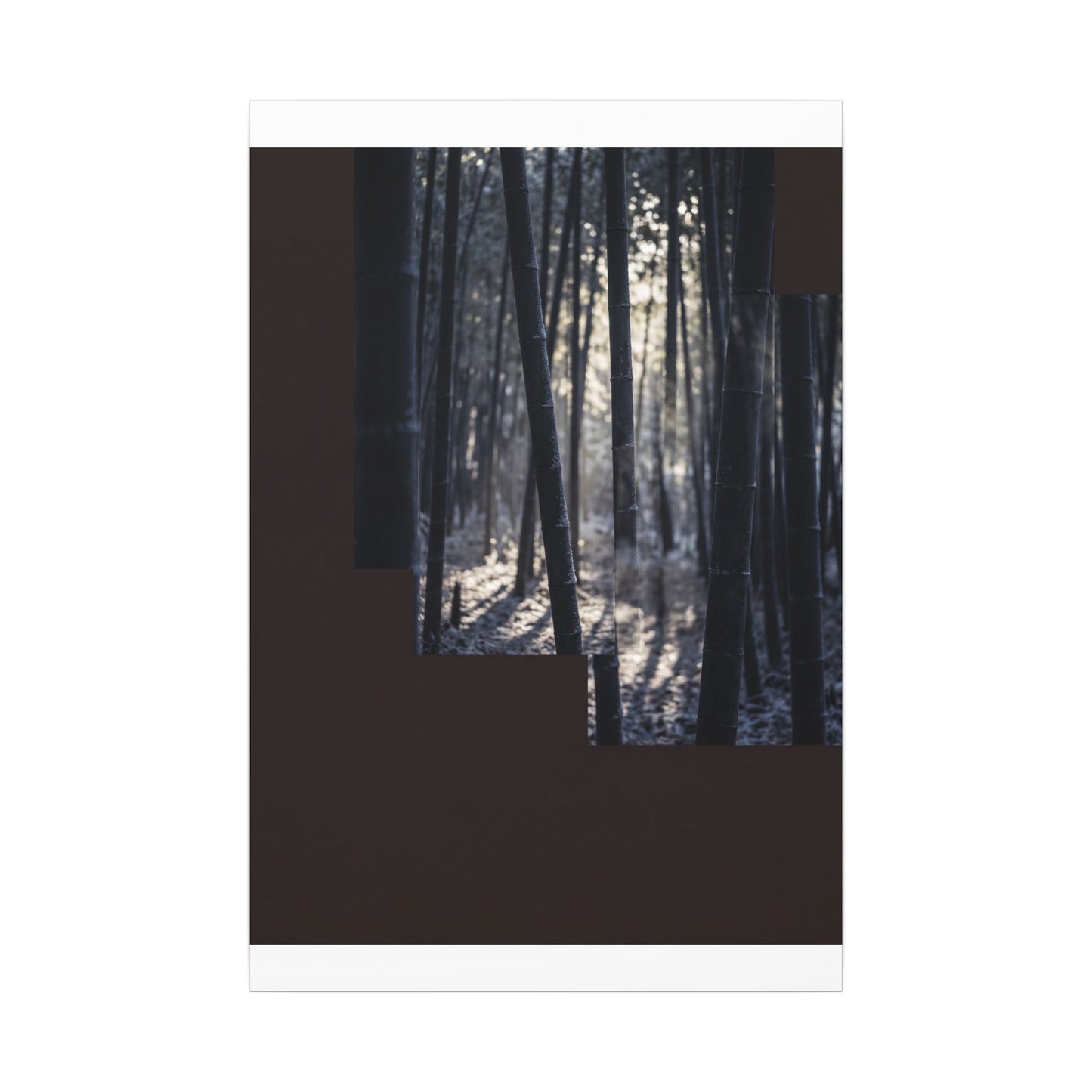 Bamboo Grove Canvas Art | Winter Dark Japandi Moody Minimal Art