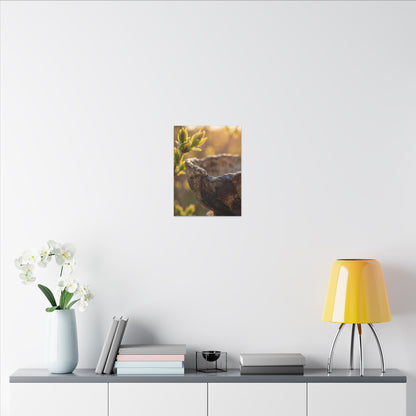 Golden Hour Ceramic Bowl Canvas Art - Dark Japandi Ma