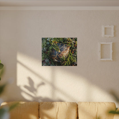 Artful Moss Close Up Canvas Art - Gold Repair Kintsugi