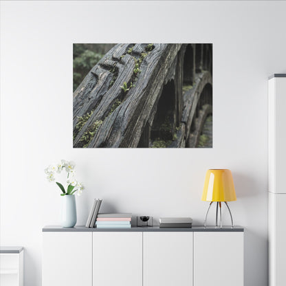 Overcast Wooden Bridge Canvas Art - Japandi Kanso