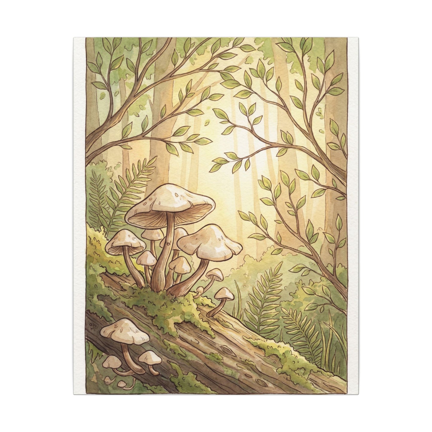 Spring Wild Mushrooms Mushroom Illustration Canvas Art | Cozy Decor