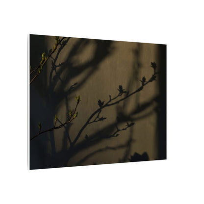 Seijaku Shadow Play Canvas Art - Dark Japandi Charcoal Ink