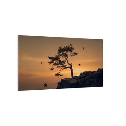 Dark Japandi Pine Tree in Golden Hour | Moody Minimal Canvas Art