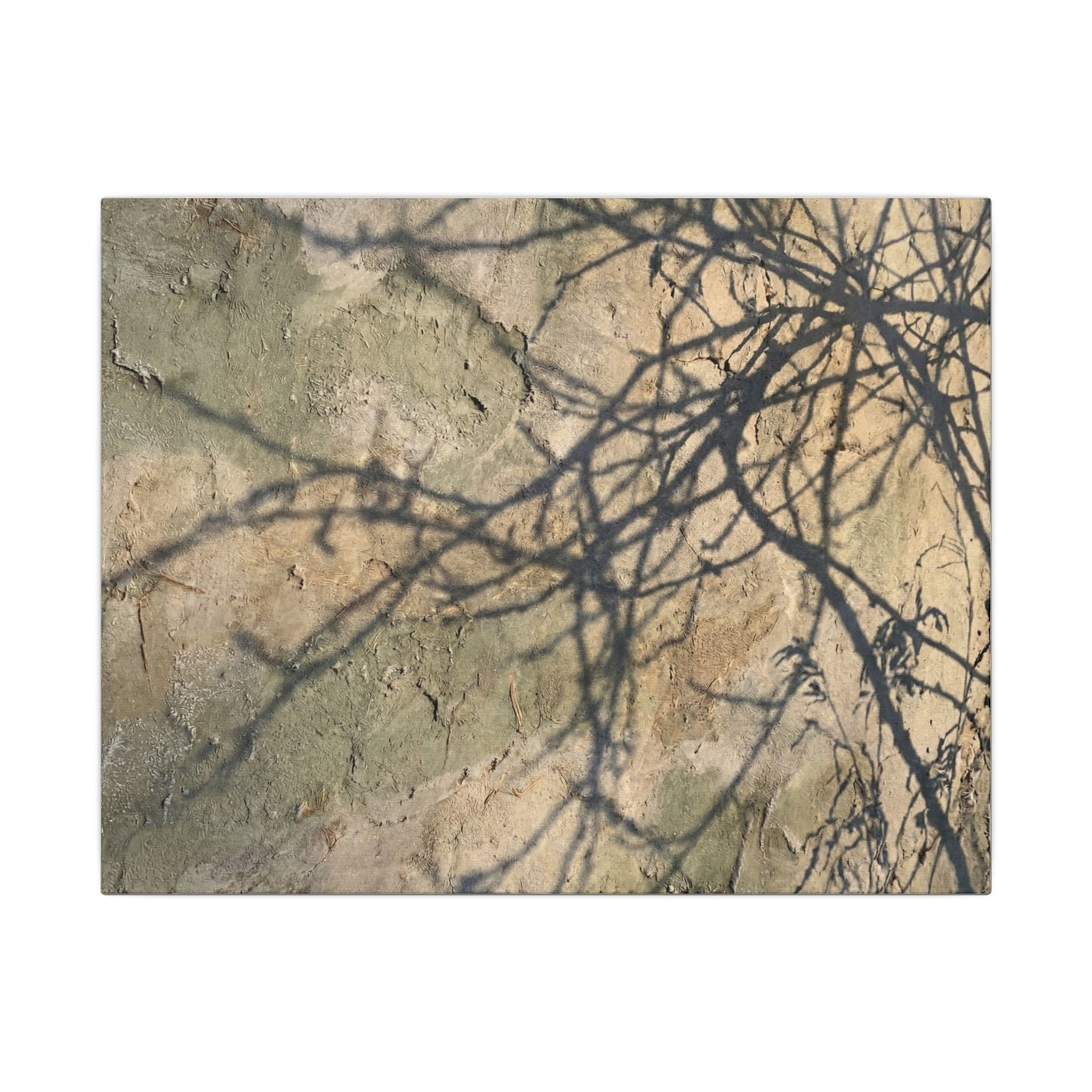 Japandi Shadow Play in Golden Hour | Texture Canvas Art Art Print