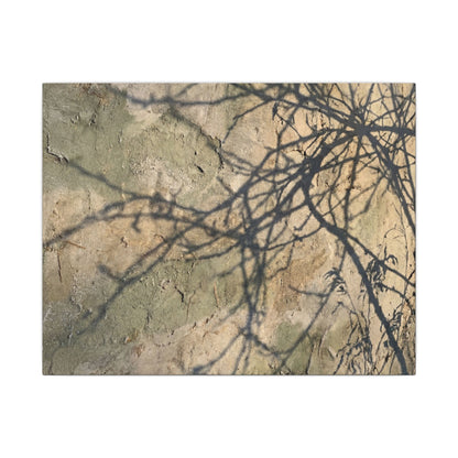 Japandi Shadow Play in Golden Hour | Texture Canvas Art Art Print