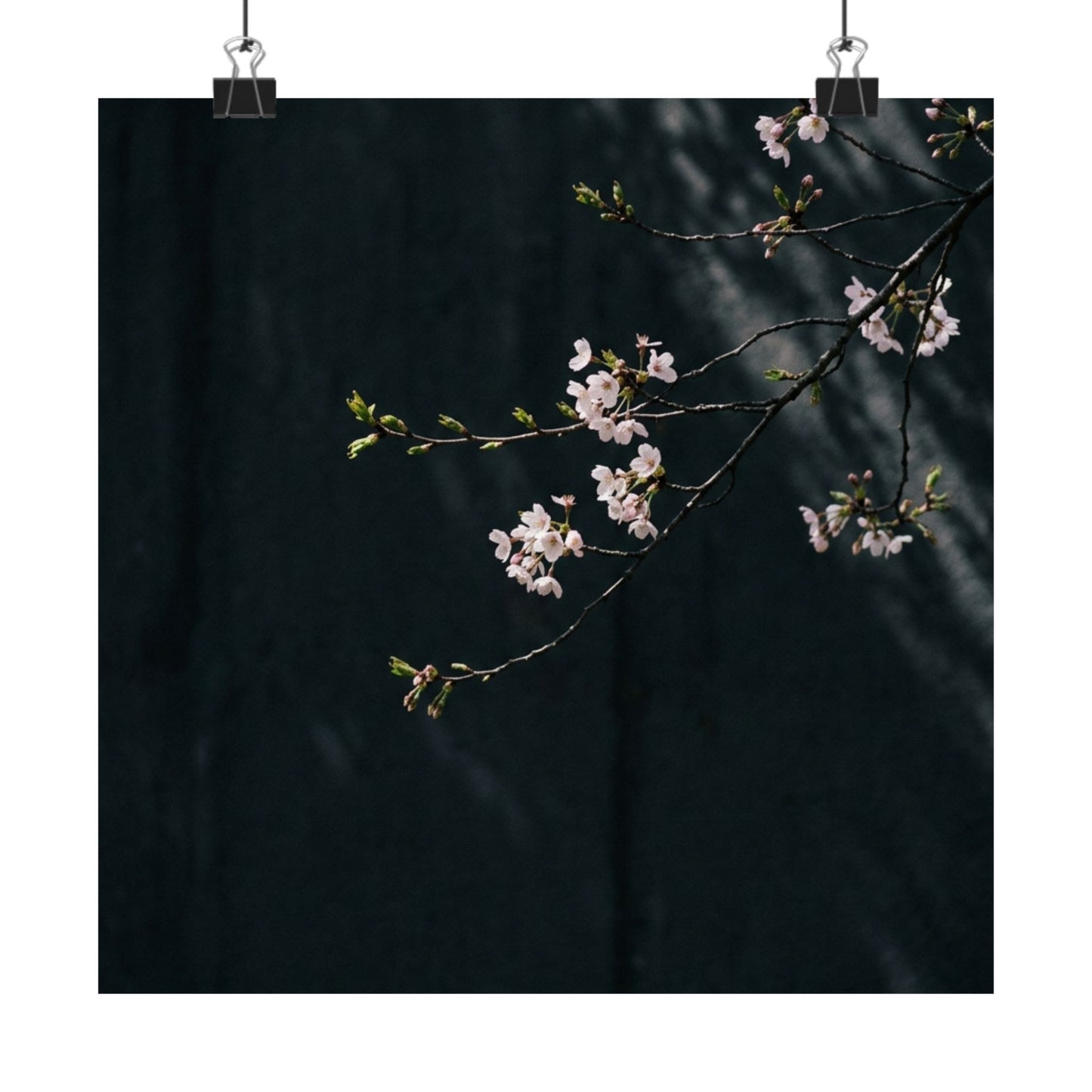 Cherry Blossom Wall Art Print | Spring Dark Japandi Moody Minimal Art Art Print