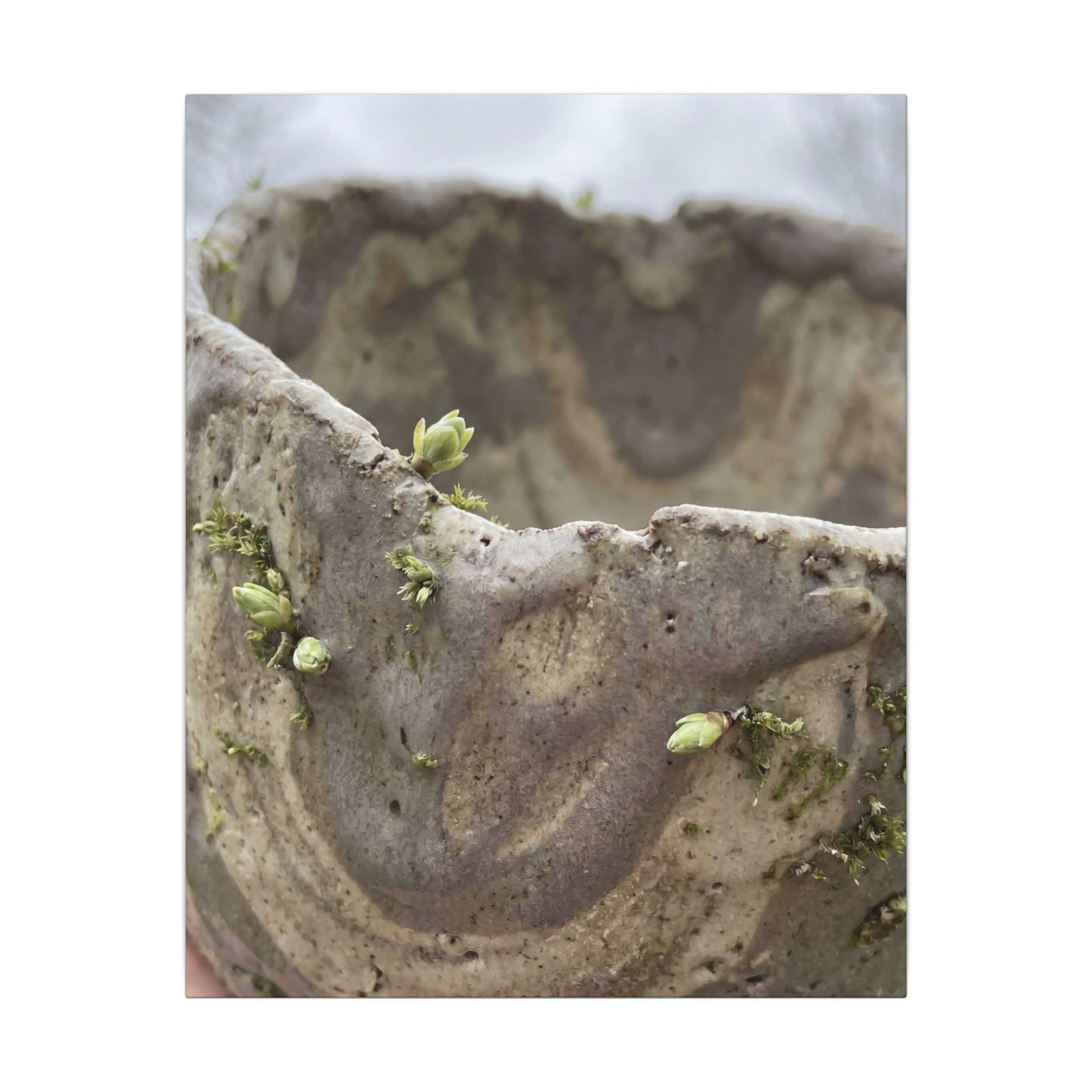 Overcast Ceramic Bowl Canvas Art - Japandi Fukinsei