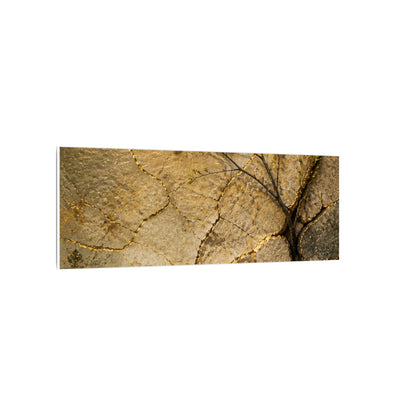 Cracked Earth Spring Canvas Art | Japandi Warm Design