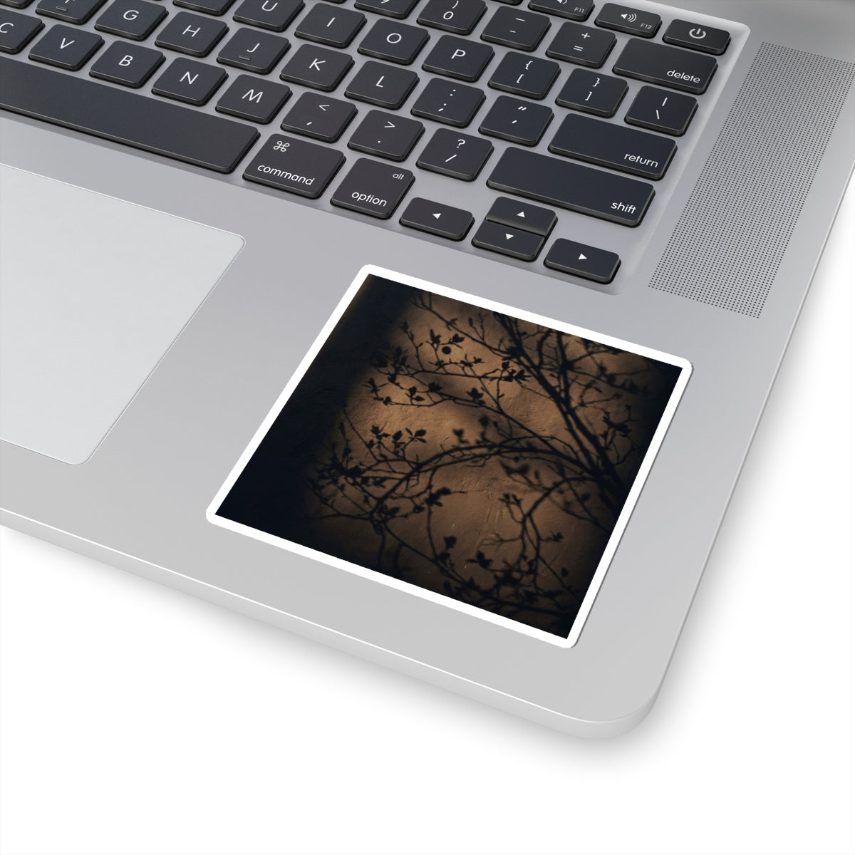 Dark Japandi Shadow Play in Golden Hour | Shadow Zen Sticker Art Print