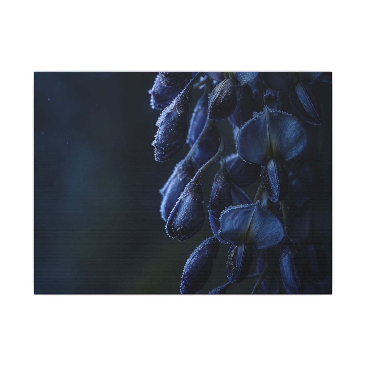 Winter Wisteria Shadow Zen Canvas Art | Atmospheric Decor