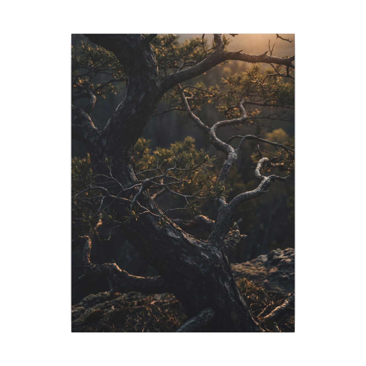 Moody Pine Tree Canvas Art - Moody Minimal Dark Japandi