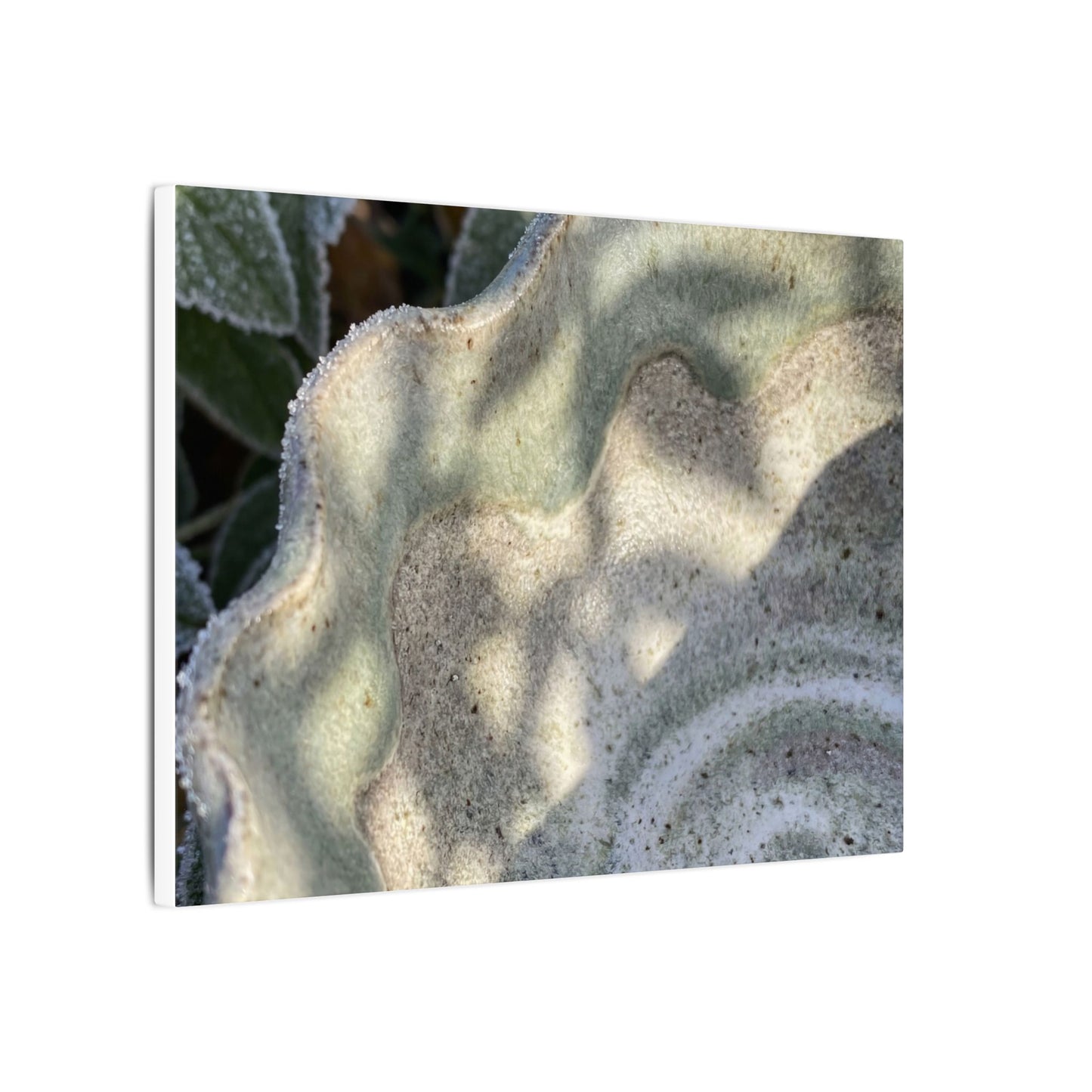 Dappled Ceramic Bowl Canvas Art - Japandi Seijaku
